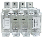 Telergon Switch Fuse M11 63A 3p+N 400VAC BSA2/3 S00 Cage - Rubicon Partner Portal
